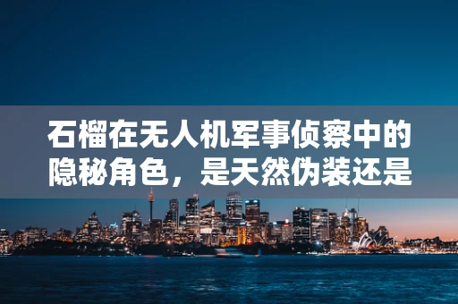 石榴在无人机军事侦察中的隐秘角色，是天然伪装还是技术革新？