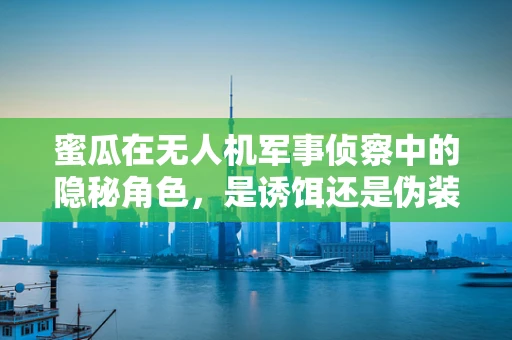 蜜瓜在无人机军事侦察中的隐秘角色，是诱饵还是伪装？