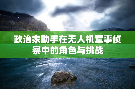 政治家助手在无人机军事侦察中的角色与挑战