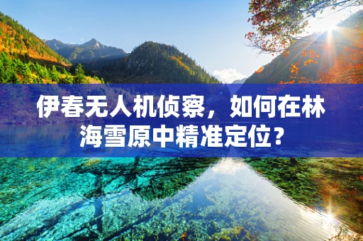 伊春无人机侦察，如何在林海雪原中精准定位？