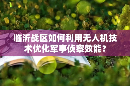 临沂战区如何利用无人机技术优化军事侦察效能？