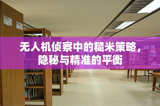 无人机侦察中的糙米策略，隐秘与精准的平衡