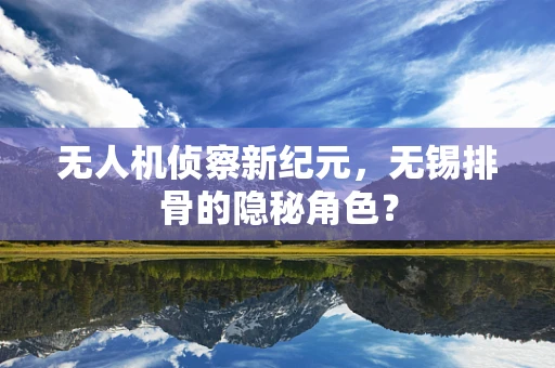 无人机侦察新纪元，无锡排骨的隐秘角色？