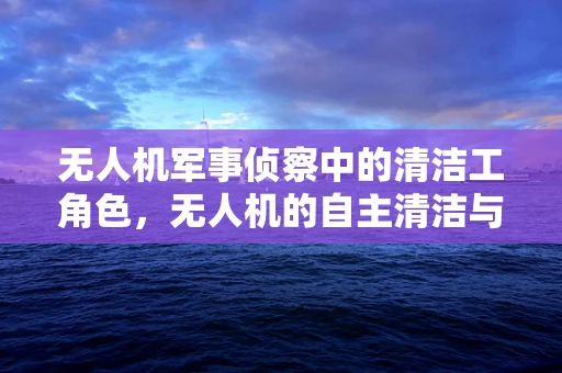 无人机军事侦察中的清洁工角色，无人机的自主清洁与维护挑战
