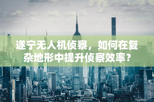 遂宁无人机侦察，如何在复杂地形中提升侦察效率？
