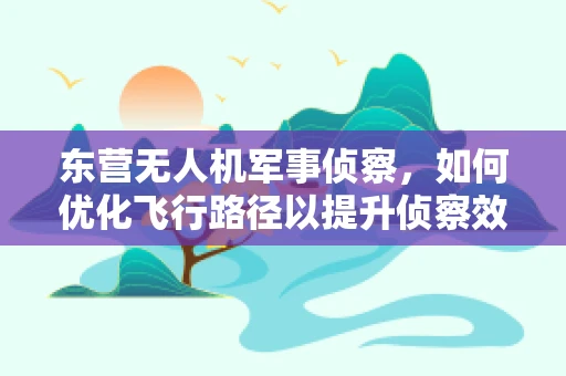 东营无人机军事侦察，如何优化飞行路径以提升侦察效率？