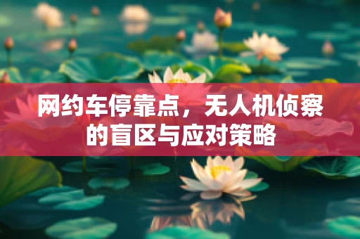 网约车停靠点，无人机侦察的盲区与应对策略