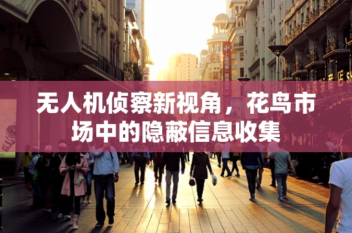 无人机侦察新视角，花鸟市场中的隐蔽信息收集