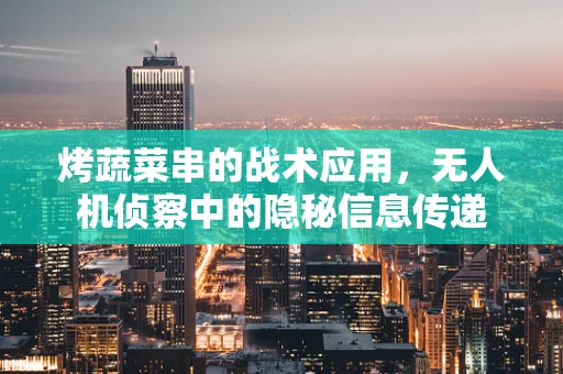 烤蔬菜串的战术应用，无人机侦察中的隐秘信息传递