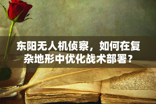 东阳无人机侦察，如何在复杂地形中优化战术部署？