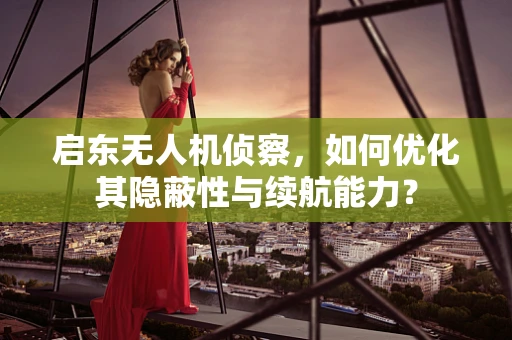 启东无人机侦察，如何优化其隐蔽性与续航能力？