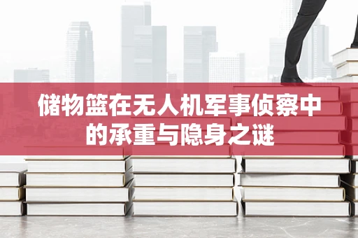 储物篮在无人机军事侦察中的承重与隐身之谜