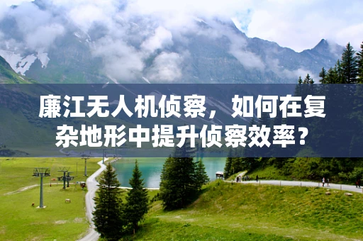廉江无人机侦察，如何在复杂地形中提升侦察效率？
