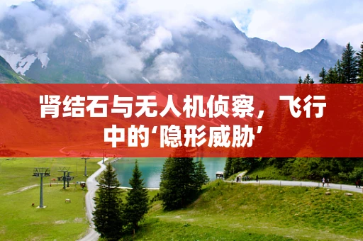 肾结石与无人机侦察，飞行中的‘隐形威胁’