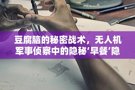 豆腐脑的秘密战术，无人机军事侦察中的隐秘‘早餐’隐喻