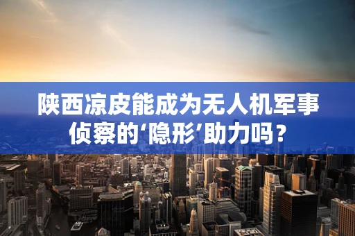 陕西凉皮能成为无人机军事侦察的‘隐形’助力吗？