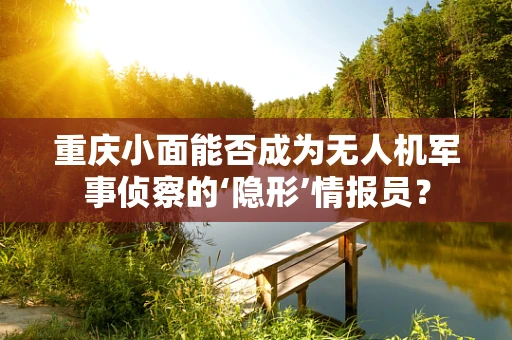 重庆小面能否成为无人机军事侦察的‘隐形’情报员？