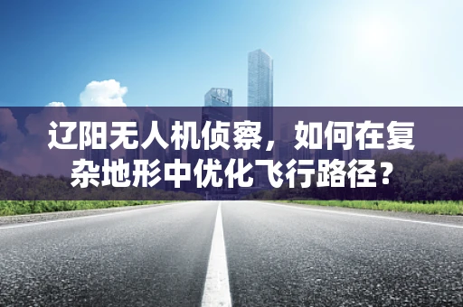 辽阳无人机侦察，如何在复杂地形中优化飞行路径？