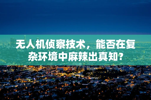 无人机侦察技术，能否在复杂环境中麻辣出真知？