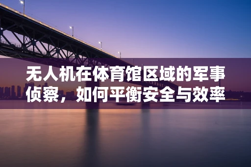 无人机在体育馆区域的军事侦察，如何平衡安全与效率？