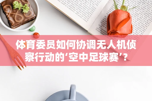 体育委员如何协调无人机侦察行动的‘空中足球赛’？
