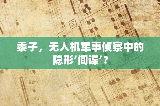 黍子，无人机军事侦察中的隐形‘间谍’？