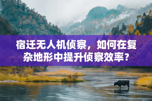宿迁无人机侦察，如何在复杂地形中提升侦察效率？