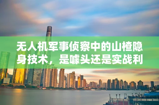 无人机军事侦察中的山楂隐身技术，是噱头还是实战利器？