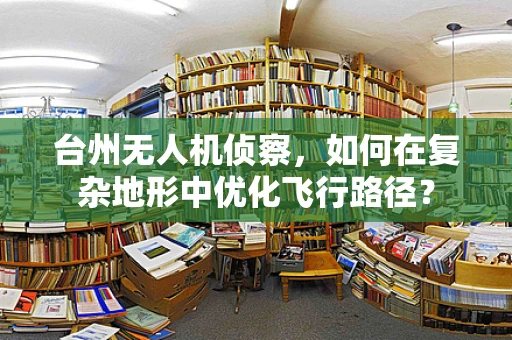 台州无人机侦察，如何在复杂地形中优化飞行路径？