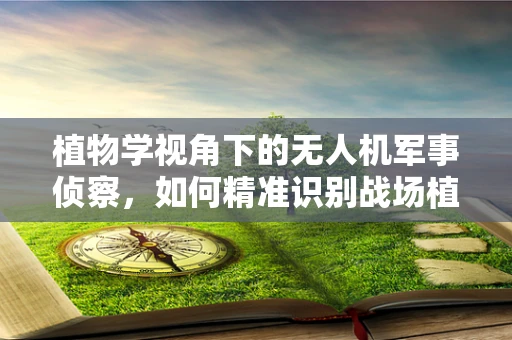 植物学视角下的无人机军事侦察，如何精准识别战场植被类型？