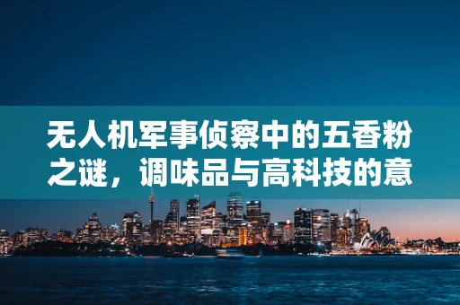 无人机军事侦察中的五香粉之谜，调味品与高科技的意外交集？