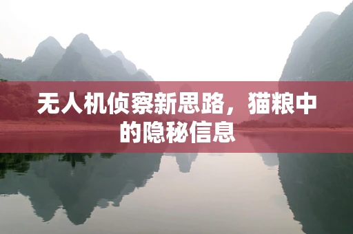 无人机侦察新思路，猫粮中的隐秘信息
