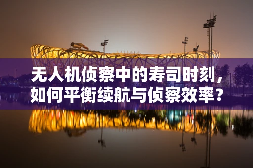 无人机侦察中的寿司时刻，如何平衡续航与侦察效率？