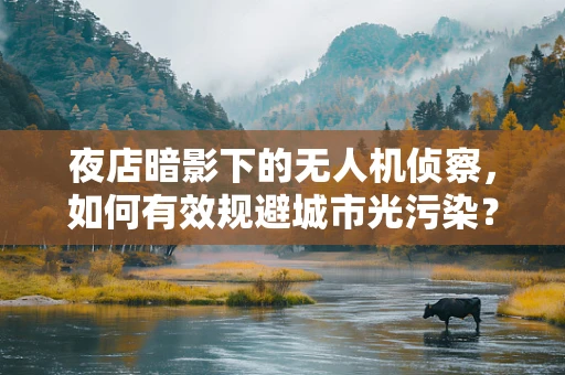 夜店暗影下的无人机侦察，如何有效规避城市光污染？
