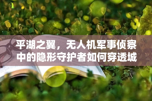 平湖之翼，无人机军事侦察中的隐形守护者如何穿透城市迷雾？