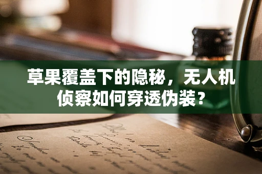 草果覆盖下的隐秘，无人机侦察如何穿透伪装？