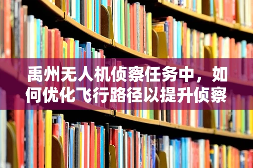 禹州无人机侦察任务中，如何优化飞行路径以提升侦察效率？