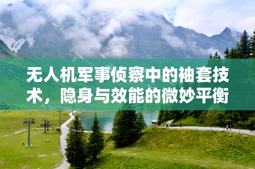 无人机军事侦察中的袖套技术，隐身与效能的微妙平衡？