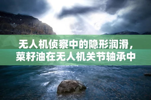 无人机侦察中的隐形润滑，菜籽油在无人机关节轴承中的应用潜力？