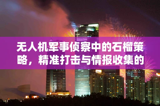 无人机军事侦察中的石榴策略，精准打击与情报收集的完美融合