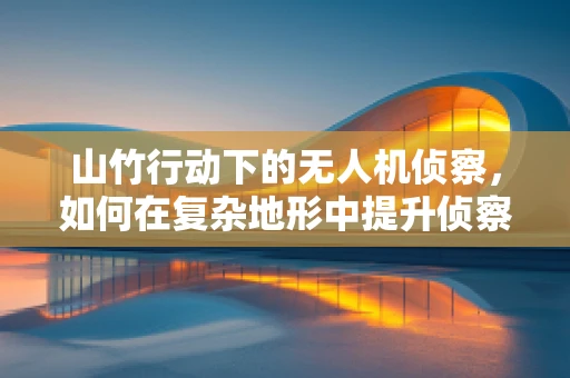 山竹行动下的无人机侦察，如何在复杂地形中提升侦察效率？