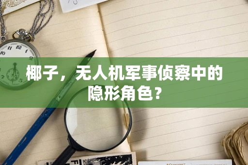 椰子，无人机军事侦察中的隐形角色？