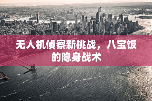 无人机侦察新挑战，八宝饭的隐身战术