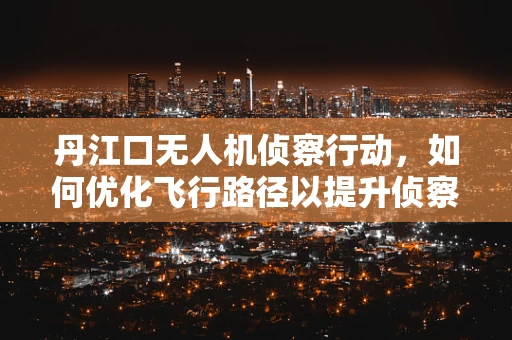 丹江口无人机侦察行动，如何优化飞行路径以提升侦察效率？