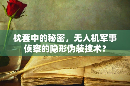 枕套中的秘密，无人机军事侦察的隐形伪装技术？