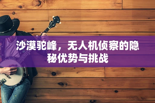 沙漠驼峰，无人机侦察的隐秘优势与挑战