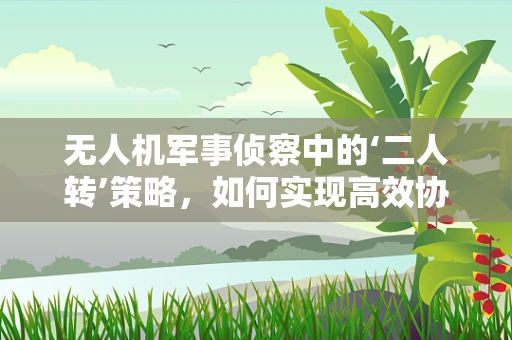 无人机军事侦察中的‘二人转’策略，如何实现高效协同与信息共享？