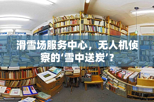 滑雪场服务中心，无人机侦察的‘雪中送炭’？