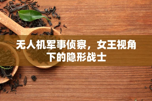 无人机军事侦察，女王视角下的隐形战士