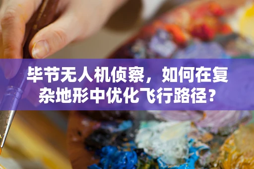 毕节无人机侦察，如何在复杂地形中优化飞行路径？
